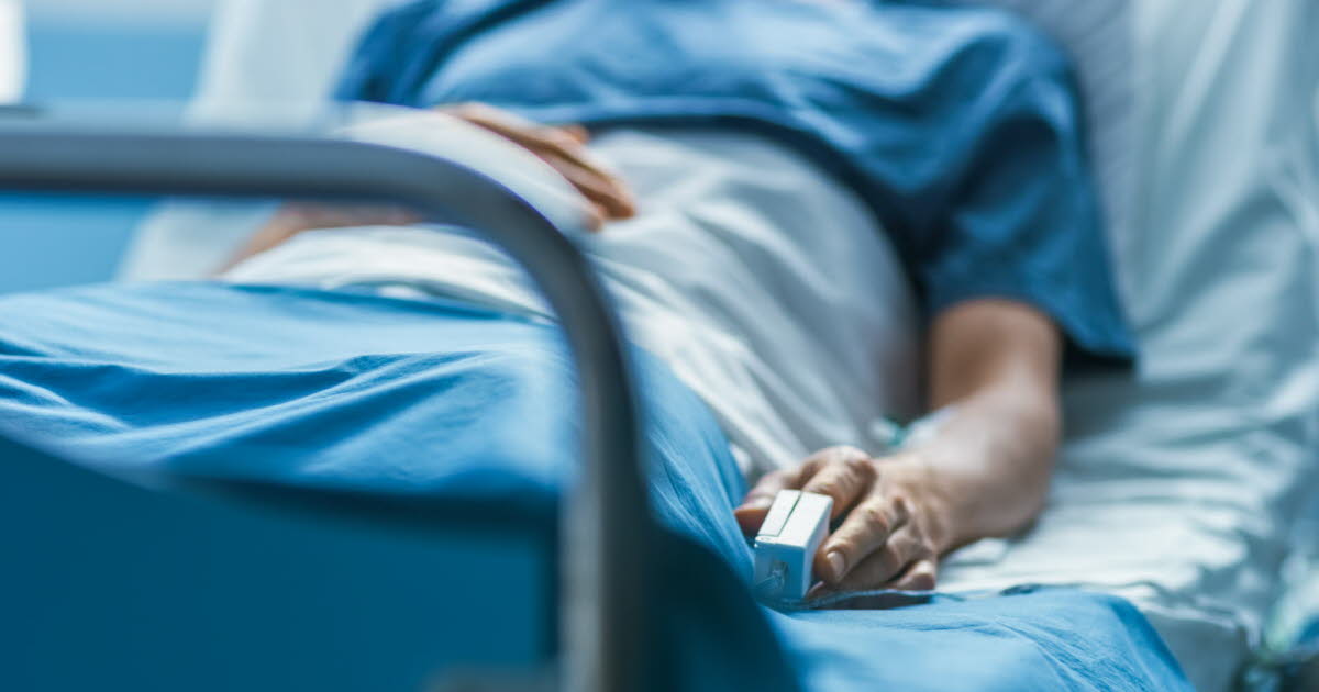 Propagation alarmante d'un champignon résistant aux médicaments dans les hôpitaux européens