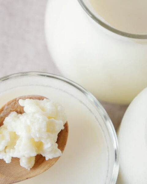 Quatre raisons convaincantes de consommer des aliments fermentés pour une alimentation saine