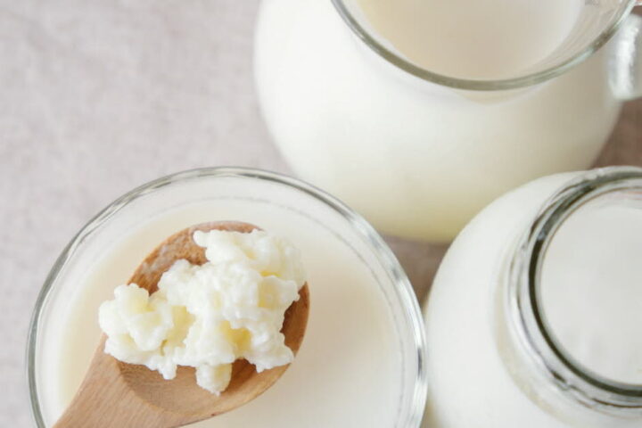 Quatre raisons convaincantes de consommer des aliments fermentés pour une alimentation saine