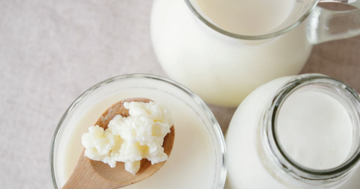 Quatre raisons convaincantes de consommer des aliments fermentés pour une alimentation saine