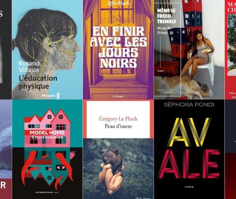 Rentrée littéraire 2025 : sélection de vingt romans incontournables