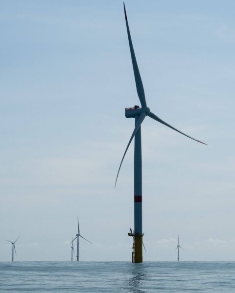 TotalEnergies annonce la construction du parc éolien offshore le plus puissant en Normandie