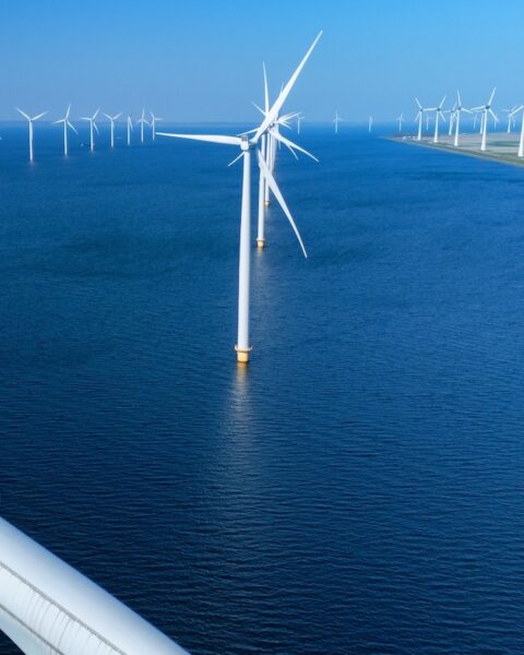 TotalEnergies et RWE remportent l'appel d'offres pour construire le plus grand parc éolien en mer de France.