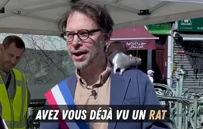 Un élu parisien promeut une nouvelle image des rats en se baladant avec l’animal sur l’épaule