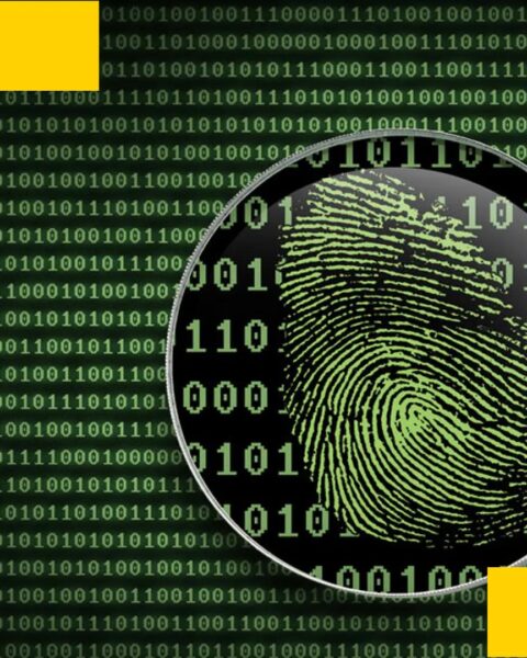 Une Chinoise condamnée au Royaume-Uni pour avoir dirigé une escroquerie de 6,9 milliards de dollars en Bitcoin