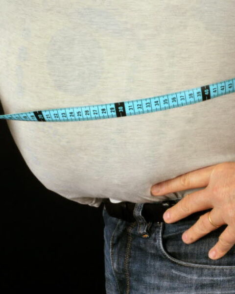 Une étude met en lumière le rôle de nouvelles cellules souches dans la prise de poids liée à l'âge