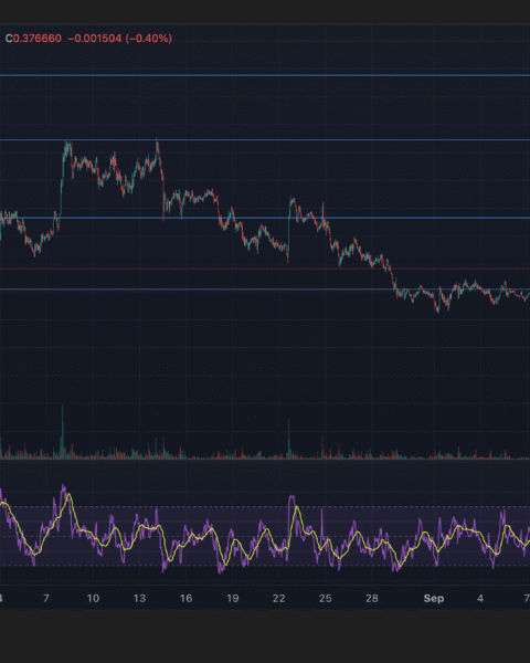 XLM subit une forte volatilité en raison des ventes institutionnelles