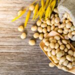 La Roumanie maintient sa production grâce au soja ukrainien