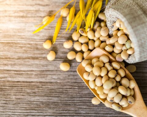 La Roumanie maintient sa production grâce au soja ukrainien