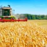 Le tarif d’exportation ukrainien renforce la stabilité européenne