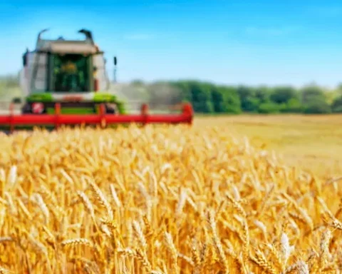 Le tarif d’exportation ukrainien renforce la stabilité européenne