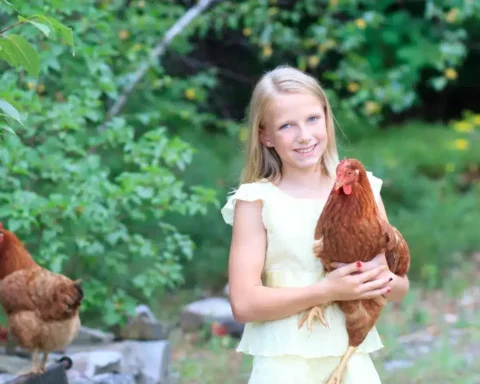 À 10 ans, une jeune fille vend des poulets et perçoit 2 000 $ : la banque lui confisque tous ses gains.