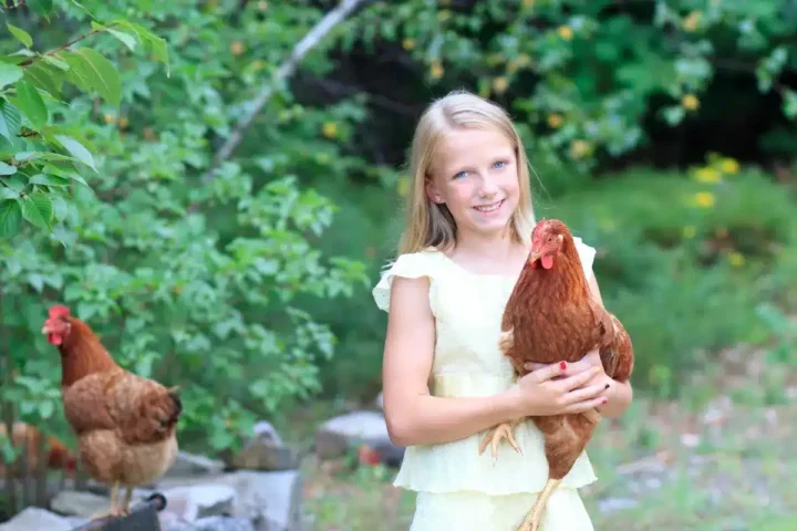 À 10 ans, une jeune fille vend des poulets et perçoit 2 000 $ : la banque lui confisque tous ses gains.