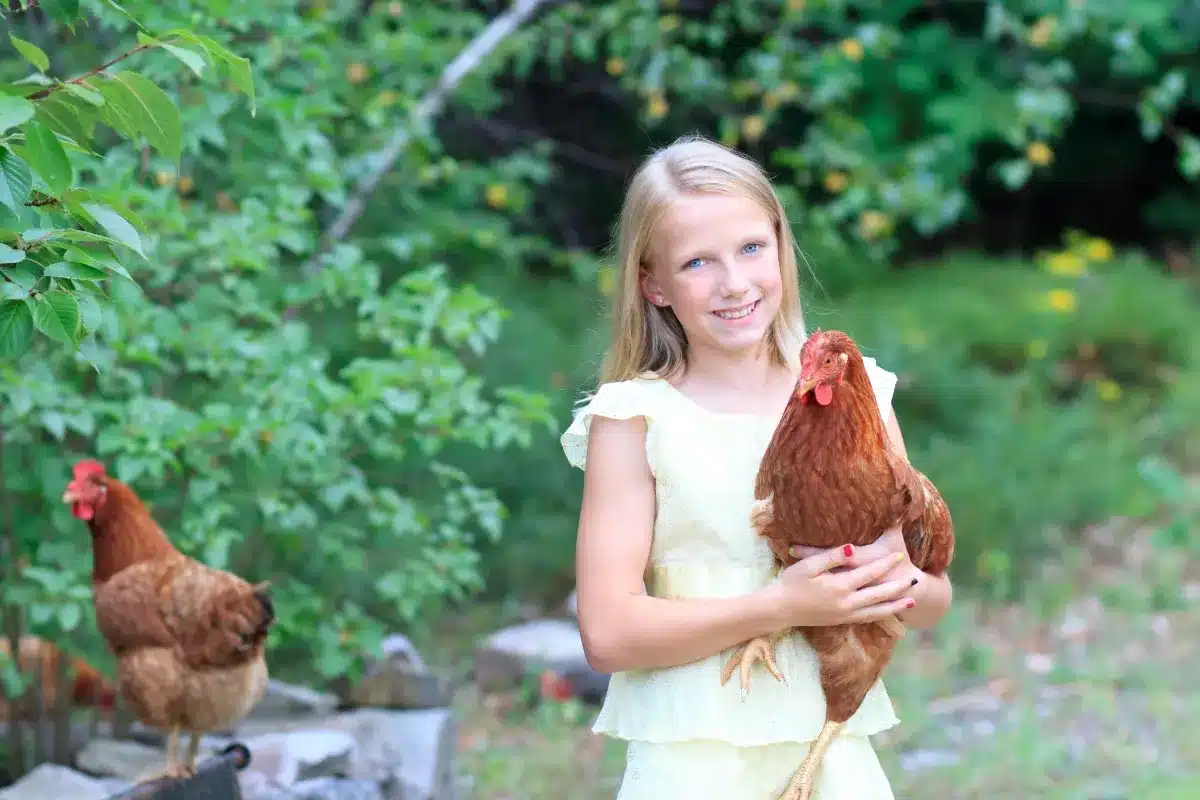 À 10 ans, une jeune fille vend des poulets et perçoit 2 000 $ : la banque lui confisque tous ses gains.