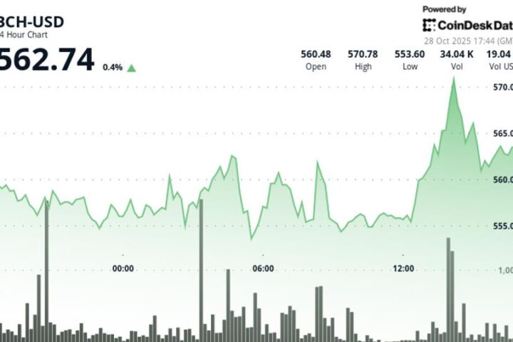 BCH progresse de 1 % et remet en question la tendance baissière dans un contexte de volumes d'échanges accrus