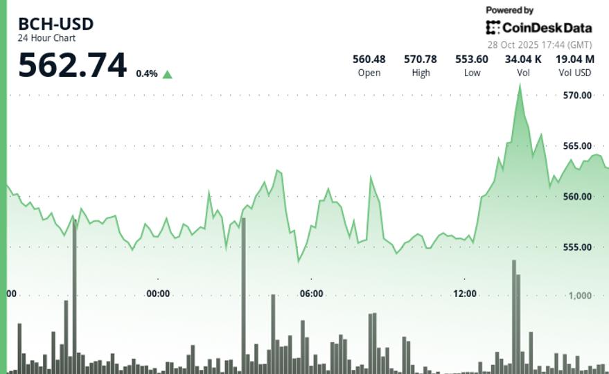 BCH progresse de 1 % et remet en question la tendance baissière dans un contexte de volumes d'échanges accrus