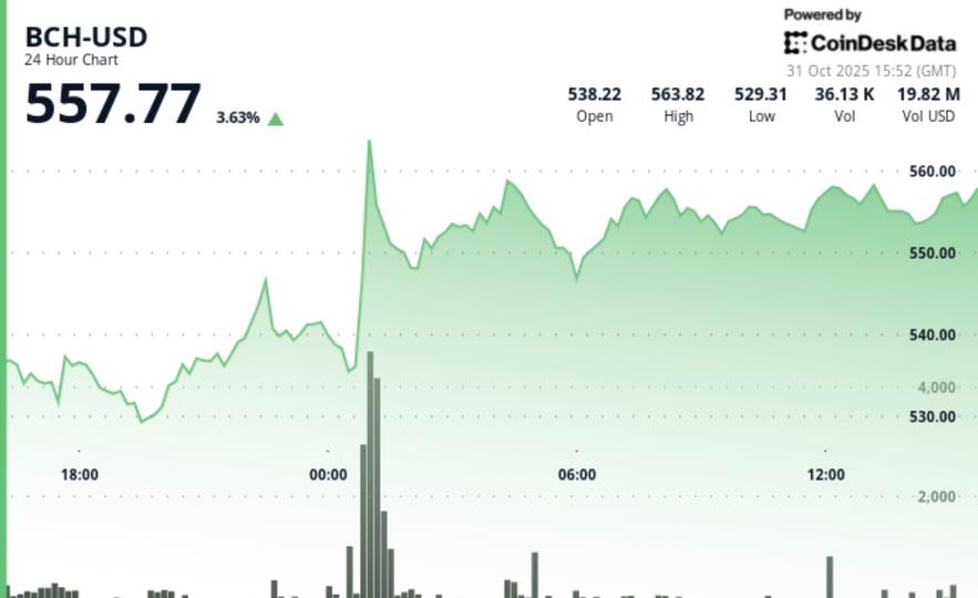 Bitcoin Cash dépasse 550 $ avec une augmentation de volume et une consolidation près du support