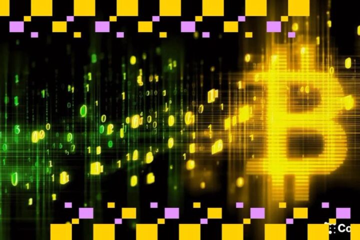 Bitcoin maintient un niveau supérieur à 114 000 $ alors que les baleines absorbent l'offre et rééquilibrent les positions short