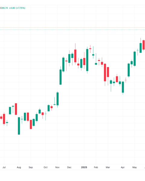 BlackRock entre dans le top 20 des ETF par actifs avec un afflux de 405,5 millions de dollars
