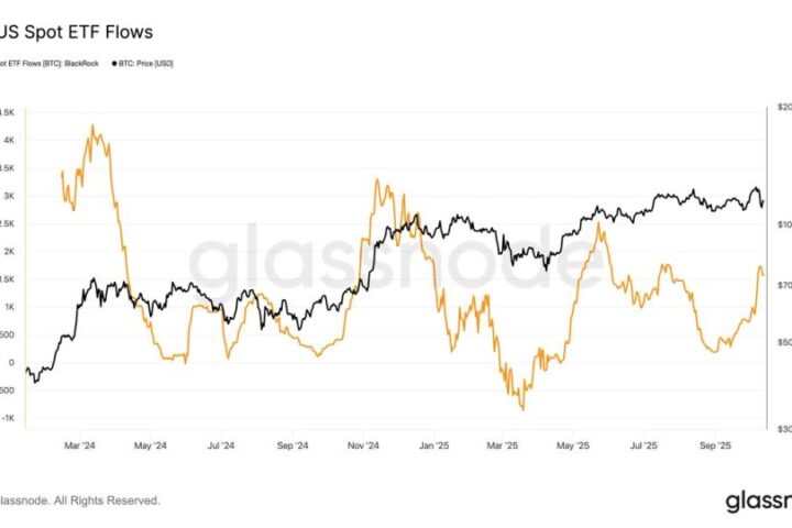 BlackRock's iShares Bitcoin Trust enregistre des flux entrants malgré la chute des prix du bitcoin