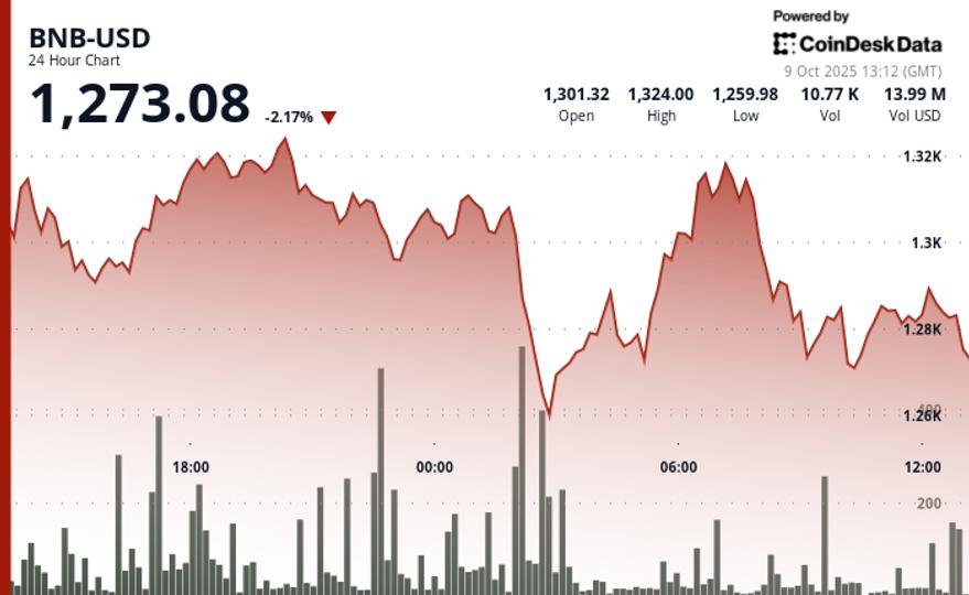 BNB chute de 2 % alors que le trading de memecoins se dénoue malgré un rallye significatif