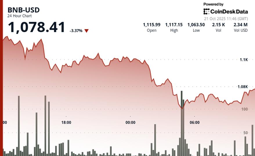 BNB chute de 3,3 % alors que le marché subit une forte vente