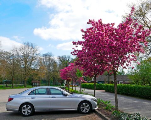 Bonus-malus et malus écologique : les nouvelles implications de la fiscalité automobile en 2025