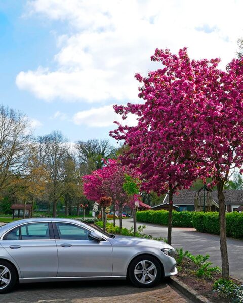 Bonus-malus et malus écologique : les nouvelles implications de la fiscalité automobile en 2025