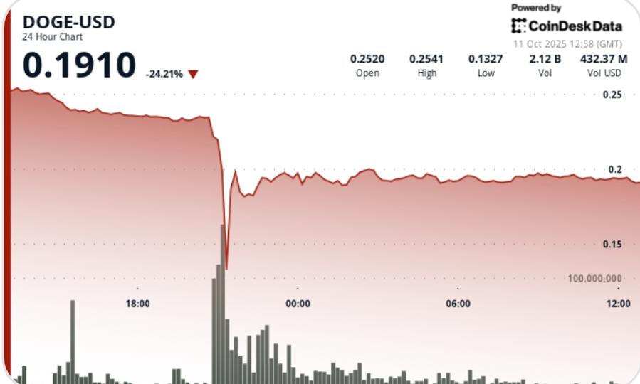 Chute instantanée de 50 % du Dogecoin, stabilisation autour de 0,19 $ après un rebond