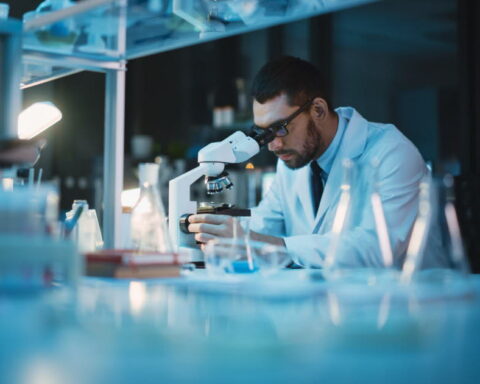 Découverte d'une molécule innovante pour rendre les cellules tumorales visibles en immunothérapie