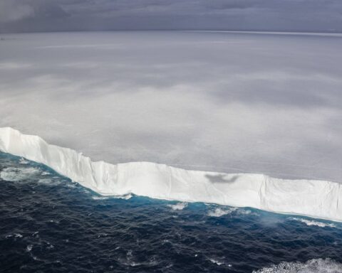 Des affirmations erronées sur le réchauffement en Antarctique circulent sur les réseaux sociaux