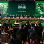 Des arbres n'ont pas été abattus pour faciliter l'accès à la COP 30 à Belém