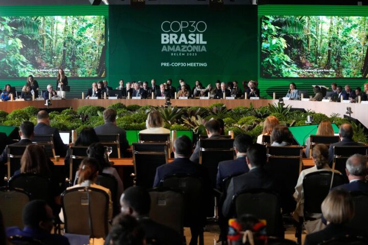 Des arbres n'ont pas été abattus pour faciliter l'accès à la COP 30 à Belém