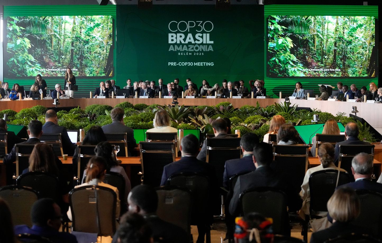 Des arbres n'ont pas été abattus pour faciliter l'accès à la COP 30 à Belém