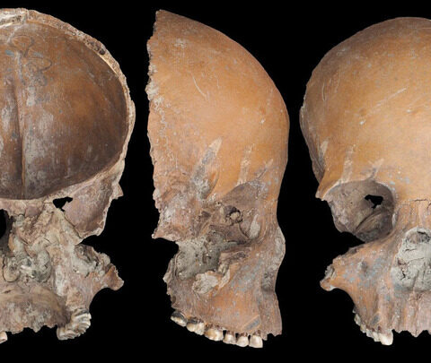 Des crânes humains transformés en objets lors de la période néolithique en Chine