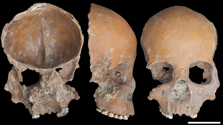 Des crânes humains transformés en objets lors de la période néolithique en Chine