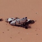 Des familles de victimes du DC-10 d'UTA se portent parties civiles dans une nouvelle affaire impliquant Nicolas Sarkozy