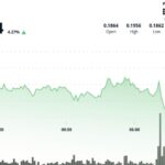 DOGE se stabilise à 0,19 $ alors que les investissements institutionnels augmentent avant une tentative de reprise