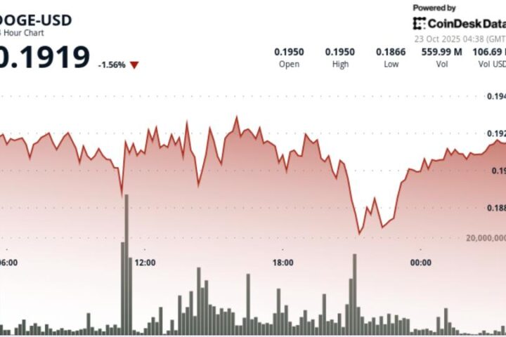 Dogecoin teste le support de 0,19 $ alors qu'une consolidation signale un potentiel de rupture
