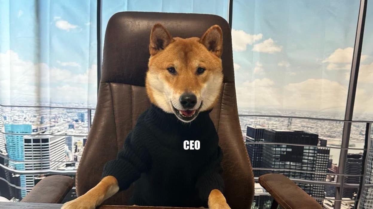 Elon Musk influence toujours le cours du memecoin floki, mais pas celui du bitcoin