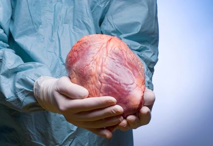 En 2024, 700 patients en attente d'un rein décèdent, alerte Cécile Champy du CHU Henri-Mondor