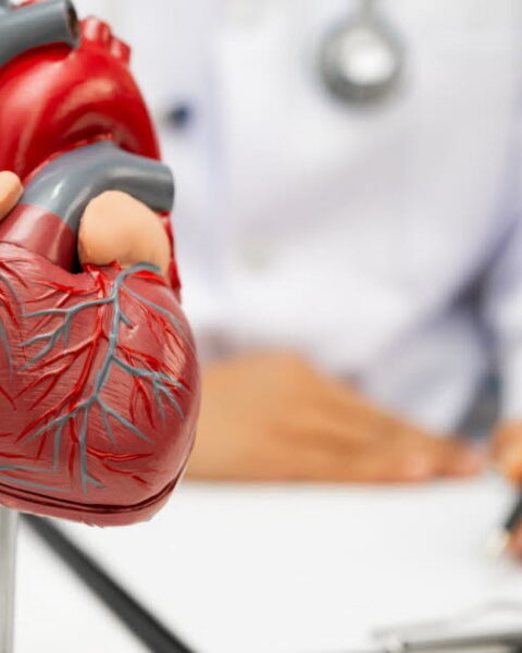 Fibrillation atriale : un trouble cardiaque croissant lié à 230 000 nouveaux cas annuels en France