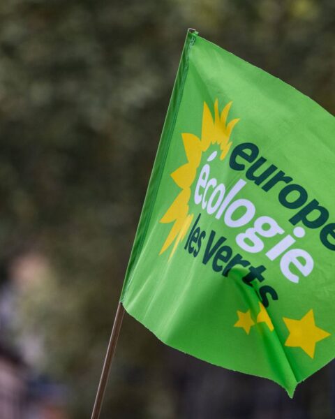 Hassen Hammou, leader des Écologistes à Marseille, convoqué pour corruption de mineur