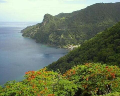 Kraken organise une retraite pour son personnel sur une île des Caraïbes en janvier