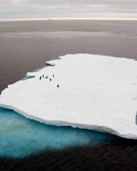 La banquise antarctique atteint son troisième plus bas niveau en 47 ans, impact du changement climatique