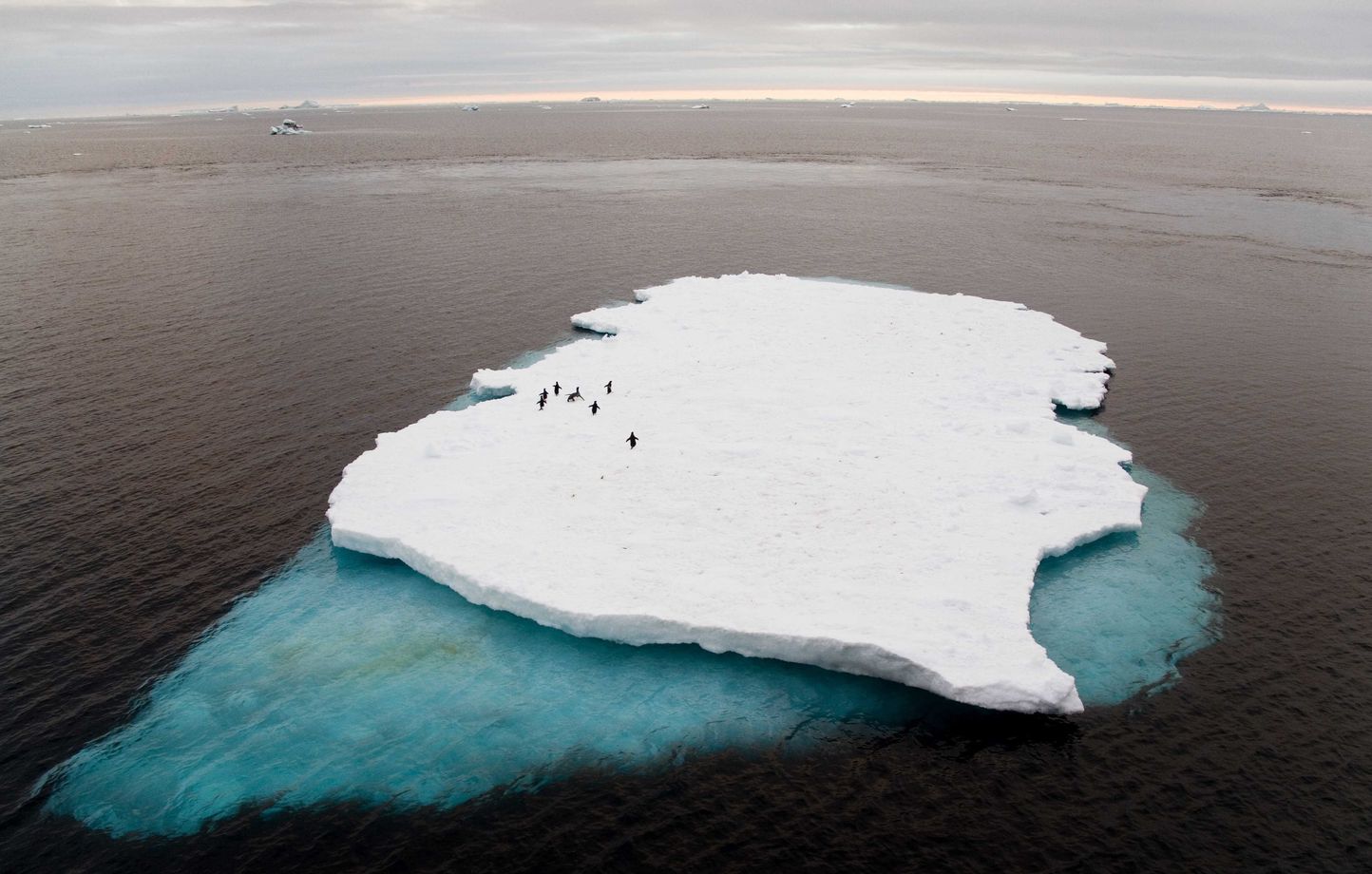 La banquise antarctique atteint son troisième plus bas niveau en 47 ans, impact du changement climatique