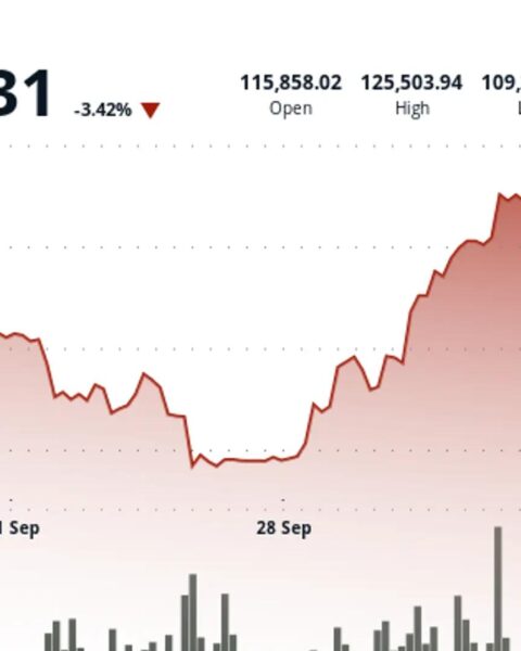 La Chine précise que ses contrôles d'exportation de terres rares ne constituent pas des interdictions générales