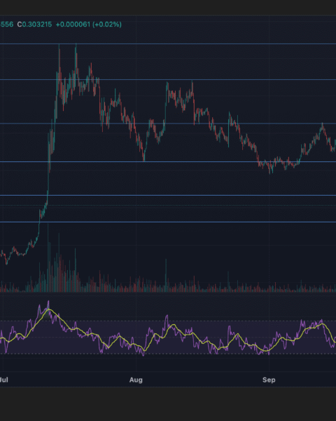 La chute de 6,25 % du jeton XLM de Stellar Lumen due à une pression de vente institutionnelle entre le 16 et 17 octobre