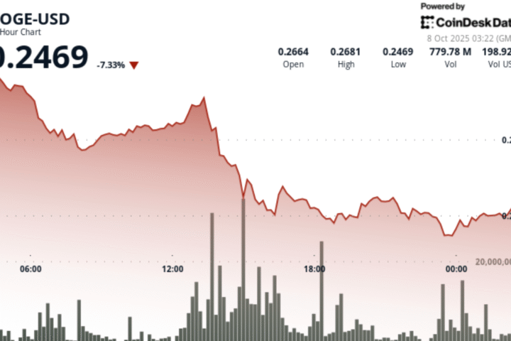 La chute de 8 % de Dogecoin stabilisée par des whales à 0,25 $