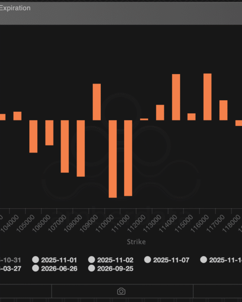 La dynamique actuelle du marché du Bitcoin attire l'attention avec un prix dépassant 110 000 $ avant l'expiration de 13 milliards de dollars d'options